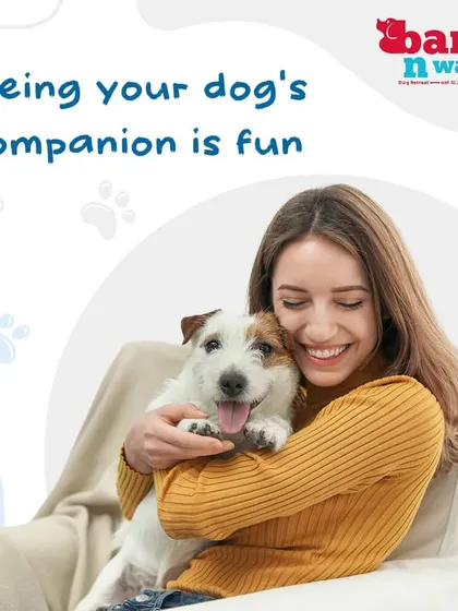 Being your dog's companion is fun and rewarding. Understanding their unique personality is the key to building a strong, respectful, and loving bond.