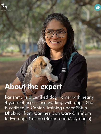 The Pack - Pet Parent Education & Workshops Join the Pack: In-Person Events (Bangalore) photo 5