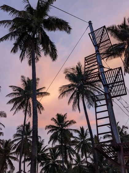 A peaceful evening view of the zipline tower against a colorful sunset sky, framed by coconut trees.