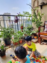 Plant & Garden Consultation