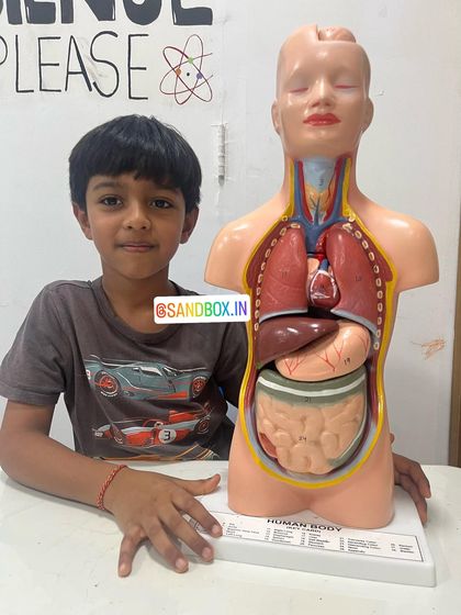 This student is proud of his newfound knowledge of the human body. Our classes aim to build confidence and curiosity about the world inside and out.