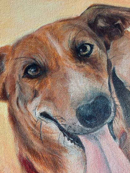 Sumana M - Commissioned Art & Custom Portraits Pet Portraits photo 12