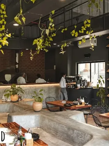 The spacious and green interior of our Whitefield location, featuring concrete seating, hanging plants, and an open kitchen design.