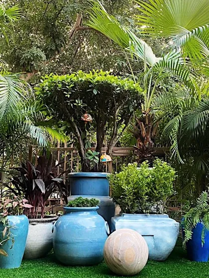 A beautiful example of how to create a lush, layered look in a garden. I grouped planters of various shades of blue and different sizes, using a mix of tropical plants like palms and ficus trees to build a dense, jungle-like feel.