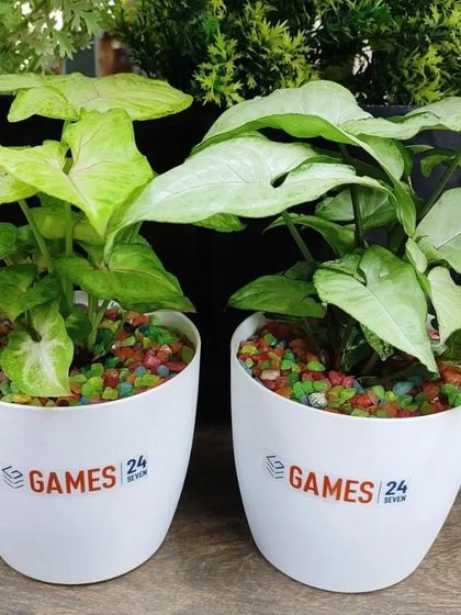 Branded Corporate Gifting photo 20