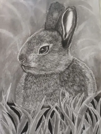 A charcoal drawing of a rabbit by my 14-year-old student, Charunethra. She has skillfully rendered the soft fur and the alert expression of the animal.