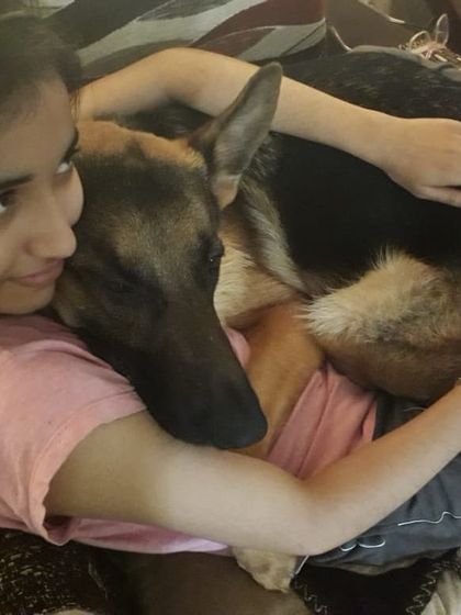 Sometimes he just wants to be a lap dog while we watch TV. These quiet moments of connection are what it's all about.