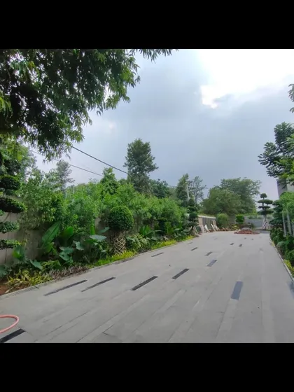 The pathway to the home is lined with a variety of plants and trees, creating a journey through a carefully curated garden. This is how I ensure the landscape is an integral part of the home's design.