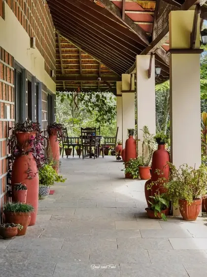 The long, inviting veranda of Villa Magnolia, lined with numerous potted plants. This is the perfect space for relaxing and enjoying the cool Coorg weather and beautiful views.