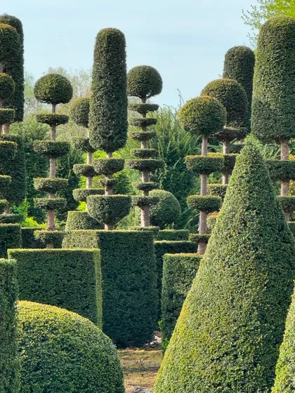 An impressive display of advanced topiary. We can create complex, multi-tiered shapes and sculptural forms from yew and other suitable plants for a truly unique and artistic garden feature.