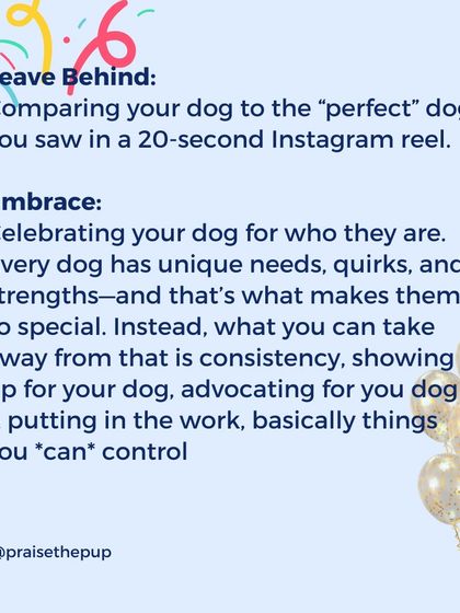 It's easy to compare your dog to a "perfect" dog in a short social media video. Instead, I encourage celebrating your dog for who they are. Focus on what you can control: your consistency, your advocacy, and the work you put in.