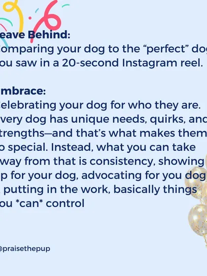 It's easy to compare your dog to a "perfect" dog in a short social media video. Instead, I encourage celebrating your dog for who they are. Focus on what you can control: your consistency, your advocacy, and the work you put in.