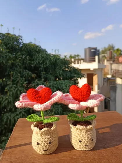 A pair of pink heart-in-bloom flowers with cute smiley faces on the pots.