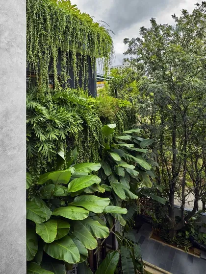 A vertical garden drapes over the facade of Project 58. We design our buildings to be porous, allowing the landscape to take over and become the primary expression of the architecture.