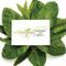 Ecoscapes Landscaping