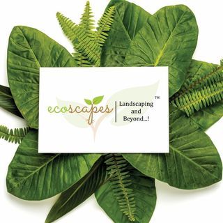 Ecoscapes Landscaping