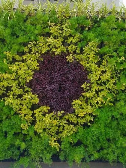 I create living art with custom patterns and designs. This wall features a circular design using contrasting plant colors, turning a simple wall into a unique focal point for a residential or commercial property.