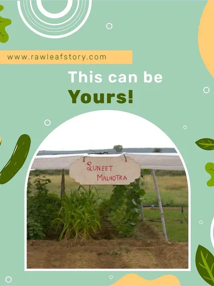 This can be your family's own green space at our farm in Gurugram. We put your name on it because we want you to feel a real sense of ownership and pride as you watch your organic vegetables grow.