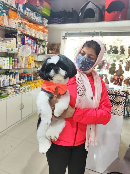 Oreo the Shih Tzu is looking sharp and feeling fresh after his grooming appointment. We make sure every pet gets the star treatment they deserve.