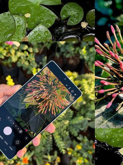 A behind the scenes look at capturing macro flower photography for a Samsung collaboration. This image demystifies the creative process and highlights the technology used to achieve the final shot.