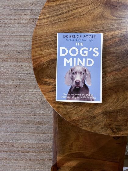 We even have books for our furry friends' parents. "The Dog's Mind" is a popular choice for anyone wanting to understand their companion better, reflecting our pet-friendly community vibe.