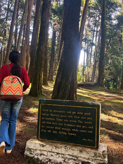 A traveler reading the inspiring John Muir quote inscribed on a stone in the forest: "Climb the mountains and get their good tidings."