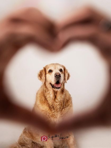 Pragalbh - Fine Art Pet Photography Family & Me photo 28