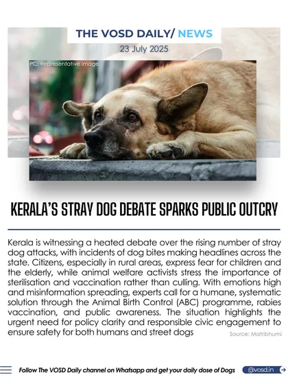 A heated debate is raging in Kerala over rising stray dog attacks. While some citizens express fear, animal welfare activists stress that the solution is systematic sterilization and vaccination, not culling.