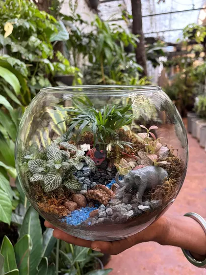 Terrariums are a top choice for gifting, and we make some of the prettiest ones. This bowl terrarium features a miniature landscape with tiny plants, colorful stones, and even a small elephant figurine, creating a charming little haven.