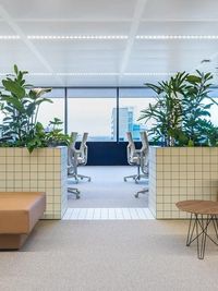 Commercial Landscaping & Plantscaping