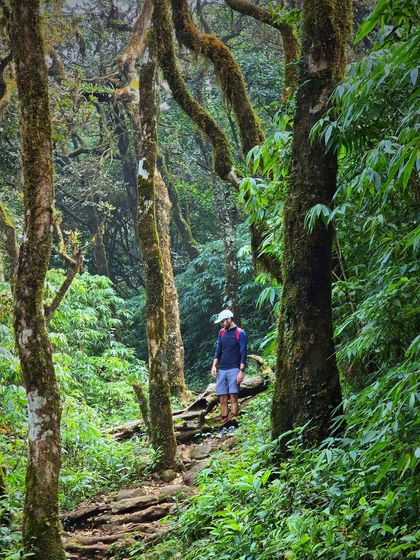A trekker stands amidst the lush, dense greenery of the Kumaraparvatha forest, a section known for its rich biodiversity.