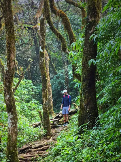 A trekker navigating the dense jungle path of Kumaraparvatha. The trail is an adventure in itself.