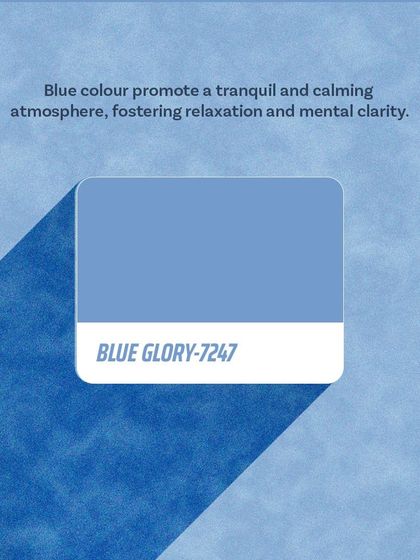 Paint My Walls - Painting Services Free Color Consultation & Inspiration photo 68