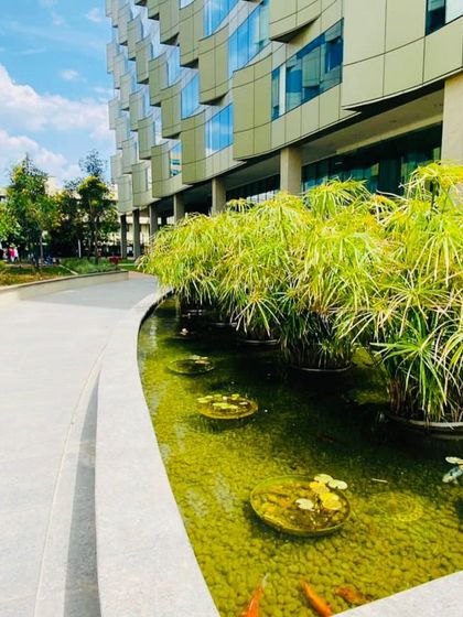 Ecoscapes Landscaping - Comprehensive Landscaping Services Custom Pools & Water Features photo 22