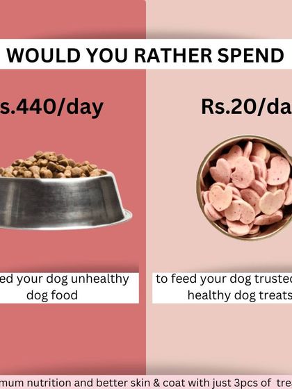 The Barkery by NV - Functional & Health-Specific Treats Our Story & Promise photo 3