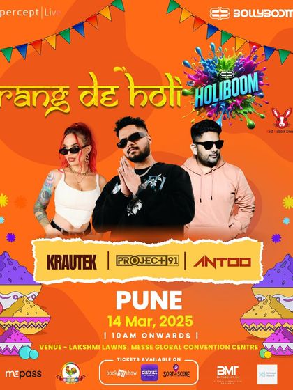 Our Holiboom poster for Pune. Each poster serves as a key marketing asset, providing all essential details like date, time, venue, and the full artist lineup.