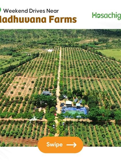 An invitation to explore the hidden gems around Madhuvana Farms. Our curated weekend drive list promises stunning landscapes and unique experiences just a short trip away.