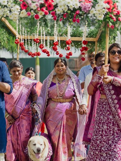 Wedding Stories - Family & Milestone Photography Family & Pet Portraits photo 4