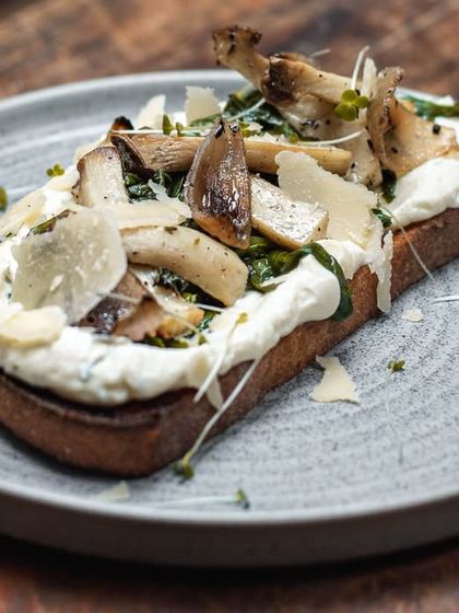 Our Wild Mushroom Toast, featuring sautéed mushrooms and parmesan shavings on a creamy base over toasted sourdough.