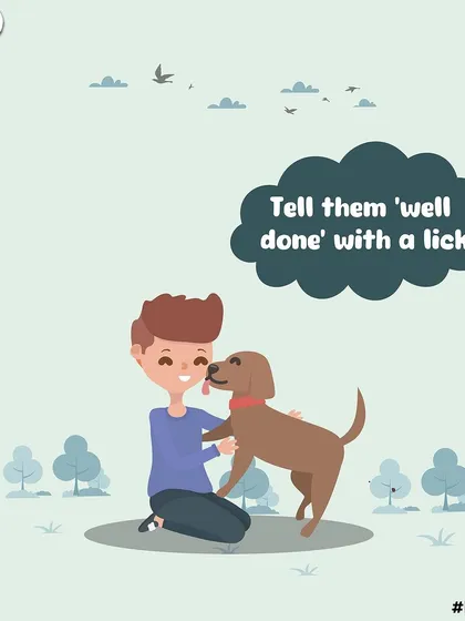 How to walk a hooman, part five: tell them "well done" with a lick. Positive reinforcement works on them too.