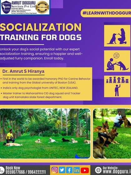 Dog Guru - Professional Dog Trainer Certification Canine Knowledge Hub photo 4