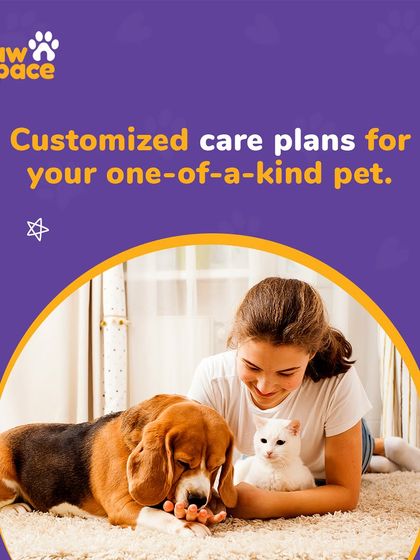 PawSpace - Pet Boarding & Sitting A Home Away From Home photo 7