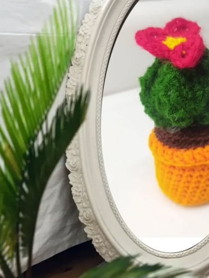 An artistic shot of our mini cactus pot reflected in a mirror.