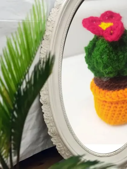 An artistic shot of our mini cactus pot reflected in a mirror.