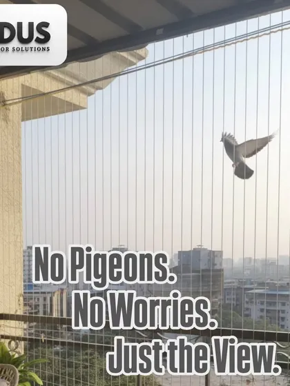 Tired of cleaning up after pigeons? My invisible grills are an effective and humane bird deterrent. They keep your balcony clean and usable without creating a cage-like feel, so you can enjoy your view without any worries.