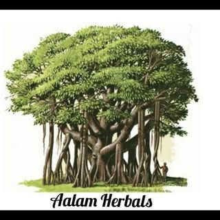 Aalam Herbals