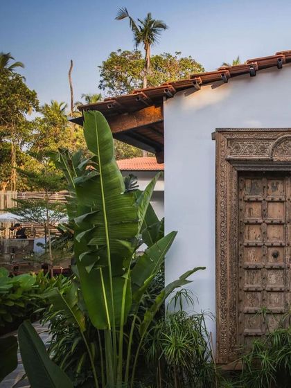 A detail shot of the entrance at Sanctuary Bar, featured in Architectural Digest. The image highlights the contrast between the clean white wall, the rustic carved door, and the vibrant tropical plants.