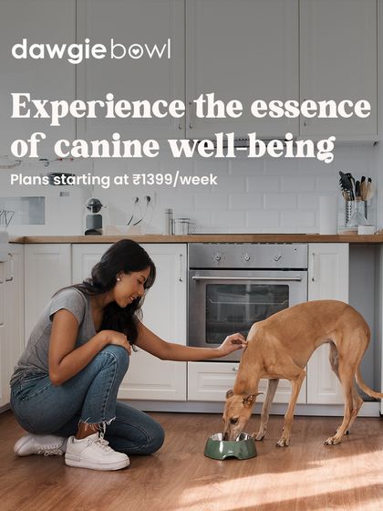 Experience the essence of canine well-being with every bite. This quiet moment between a pet parent and her dog captures the simple, happy connection that is nurtured by wholesome, nourishing food.