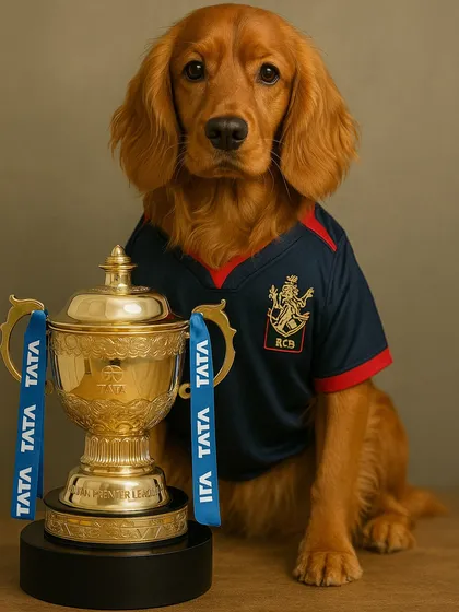 A handsome portrait of Posto in his RCB jersey with the IPL trophy. He's our little champion.
