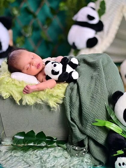 A wider view of our panda theme, showing how we arrange props to create a full, immersive world for your newborn's first photoshoot.